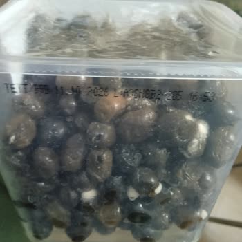 Tukaş Siyah Zeytin Ambalajı Küflenme Sorunu