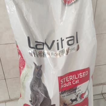 Kedi Maması Siparişim Patlamış Geldi, Kim Sorumlu?