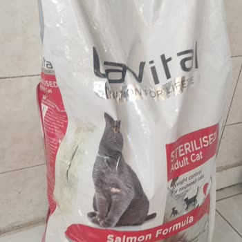 Kedi Maması Siparişim Patlamış Geldi, Kim Sorumlu?