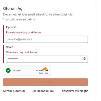 VFS Global: Kullanıcı Dostu Olmayan Web Sitesi Kabusu