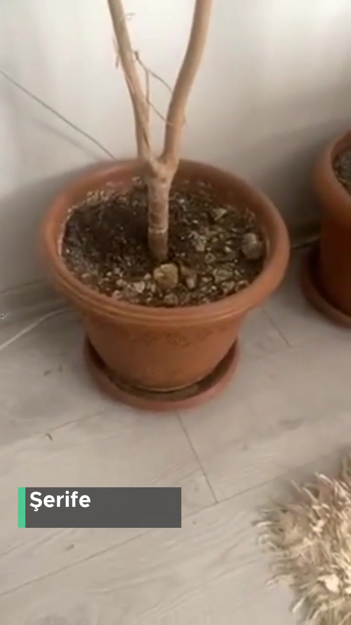 Vakıf - Sosyal Yardım Vaadi! videonun kapak resmi