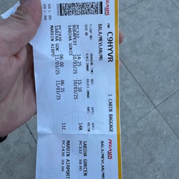 Pegasus Uçuşunda Yaşanan Aktarma Ve Bagaj Sorunları