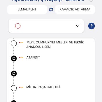 İstanbul'da Otobüs Kaosu: Eksik Eğitim Ve Uzun Bekleyişler
