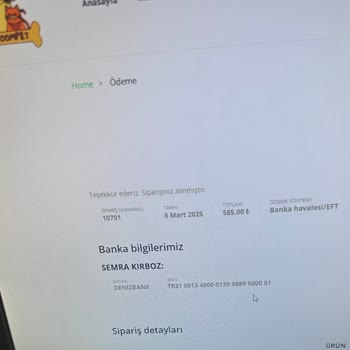 Köpeğim İçin Sipariş Verdiğim Kuru Mama Hakkında Yaşadığım Sorunlar