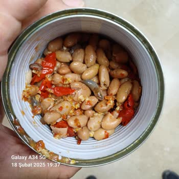 Tamek Barbunyada Şok Eden Kurt Skandalı