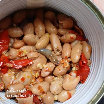 Tamek Barbunyada Şok Eden Kurt Skandalı