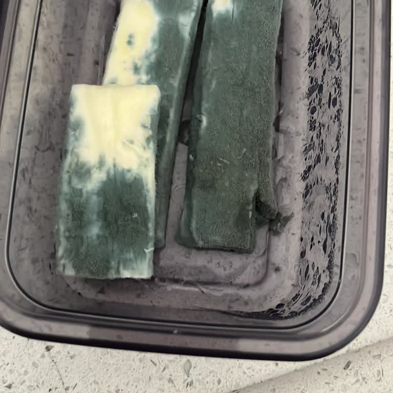 Bosch Buzdolabı Servis Sorunları: Çürüyen Ürünler Ve Çözüm Beklentisi