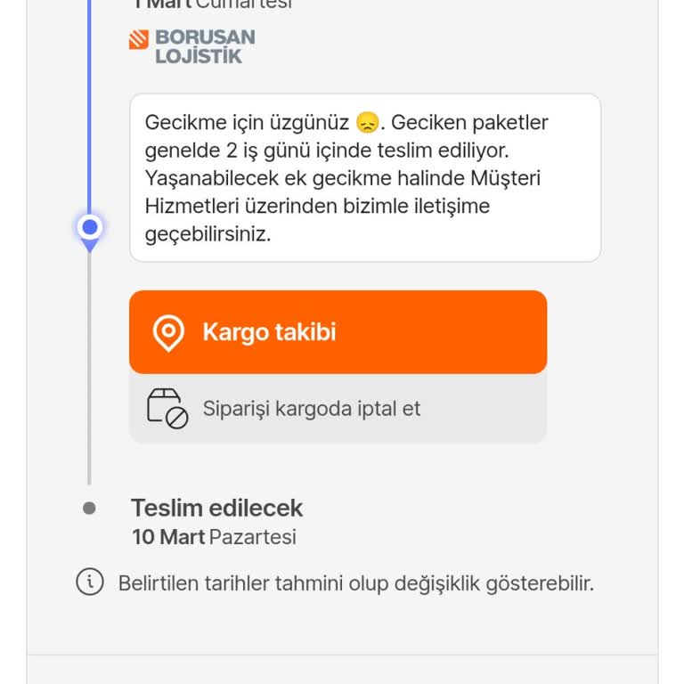 Borusan Lojistik'in Teslimat Gecikmesi Mağduriyeti