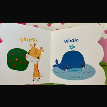 Dıytoy Kitaplarında Türkçe Eksikliği Ve İletişim Sorunu