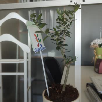 Çiçek Sepeti'nde Hayal Kırıklığı: Yanlış Çiçek Teslimatı