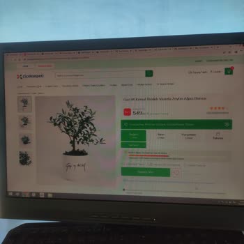 Çiçek Sepeti'nde Hayal Kırıklığı: Yanlış Çiçek Teslimatı