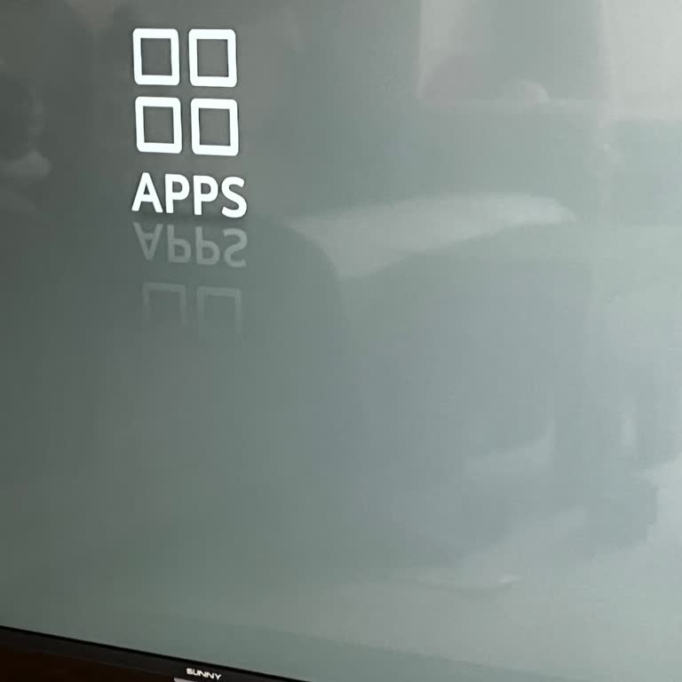 Sunny Televizyonun Uygulama Sorunları