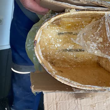 Karıncalı Bal Ve İade Sorunu