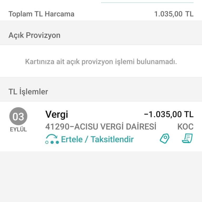 Trafik Cezası Ödemesi Sorunu Ve İletişim Eksikliği