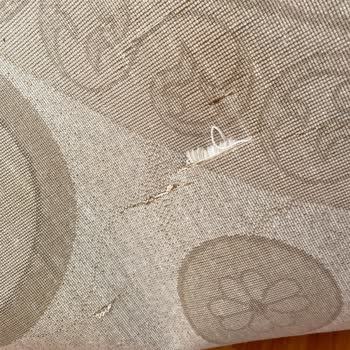 Halı Yıkama Hizmetinde Hayal Kırıklığı: Yırtık Halı Ve İlgisizlik