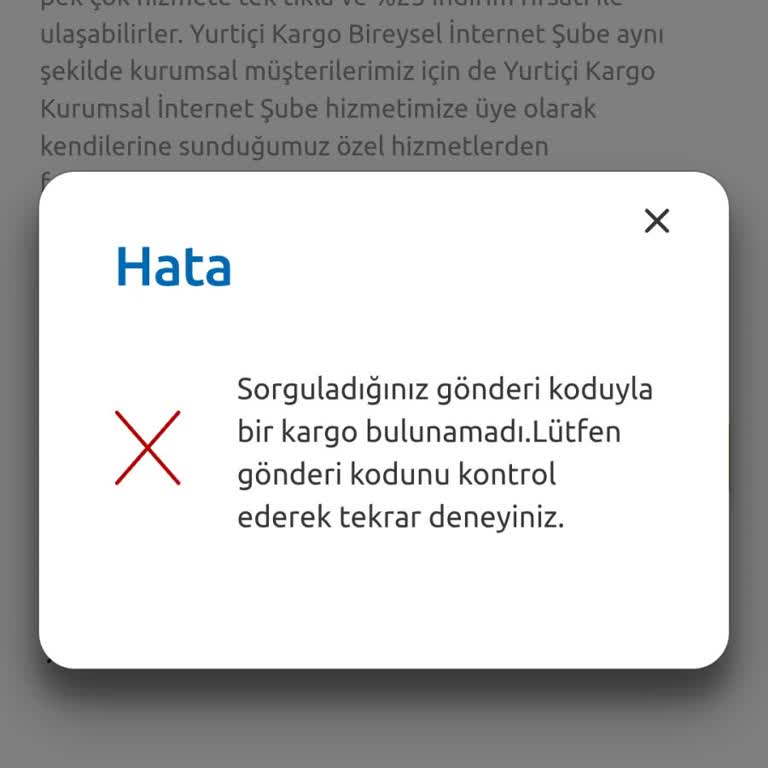 Kayıp Kargo: Gönderi Takip Sorunu
