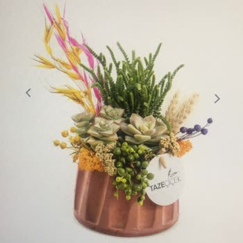 Sipariş Hazırlanamıyor Ve İptal Edilmiyor