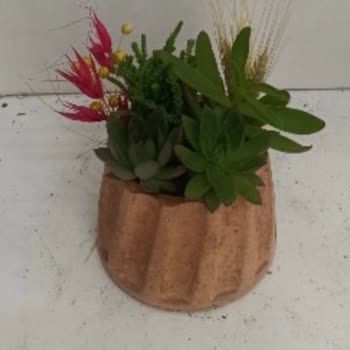 Sipariş Hazırlanamıyor Ve İptal Edilmiyor