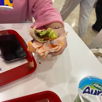 Bursa İshakbey İskender Lezzet Hayal Kırıklığı: Et Döner Beklerken Sürpriz Malzemeler!