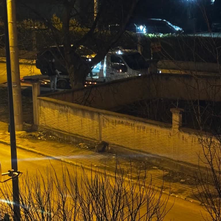 Garanti Kapsamındaki Araçta Beklenmedik Hata Ve Mağduriyet