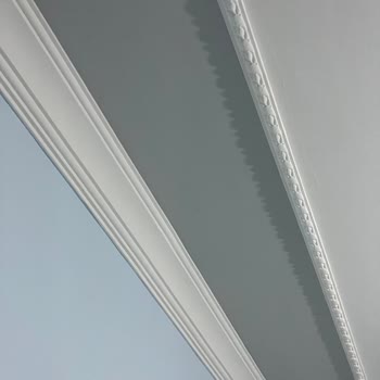 Polisan Renk Kataloğu Yanıltmasıyla Maddi Zarar!