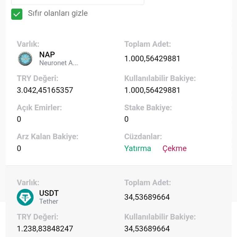 Bitci'de NAP Coin İşlemleri Durduruldu!