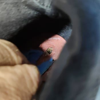 İlk Kullanımda Kırılan Bot Ve İlgisiz Müşteri Hizmeti