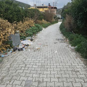 Sokak Çöpleri Ve Hasarlı Konteyner Sorunu