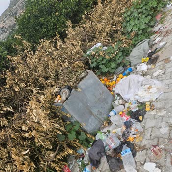 Sokak Çöpleri Ve Hasarlı Konteyner Sorunu