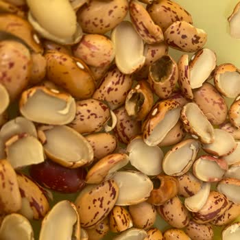 Güvenilir Sandığım Markadan Hayal Kırıklığı: Kırık Ve Bozuk Barbunya