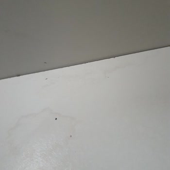 Almila Mobilya Bazalı Karyola Lekeleri Ve Garanti Sorunu