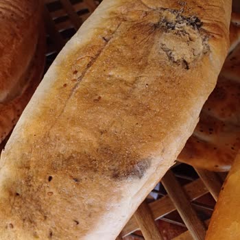 Şok Market'te Ekmek Kalitesi Sorunu