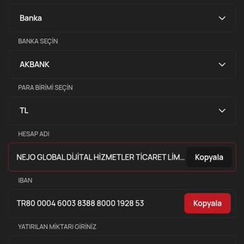 Yatırım Şirketi Hakkında Güven Sorunu