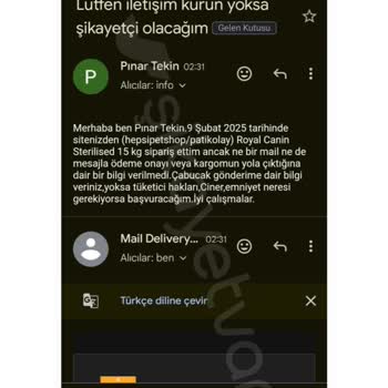 Online Alışverişte Hayal Kırıklığı: Kedi Maması Gelmedi