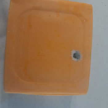 Burger Peyniri Ürününde Hijyen ve Küf Problemi