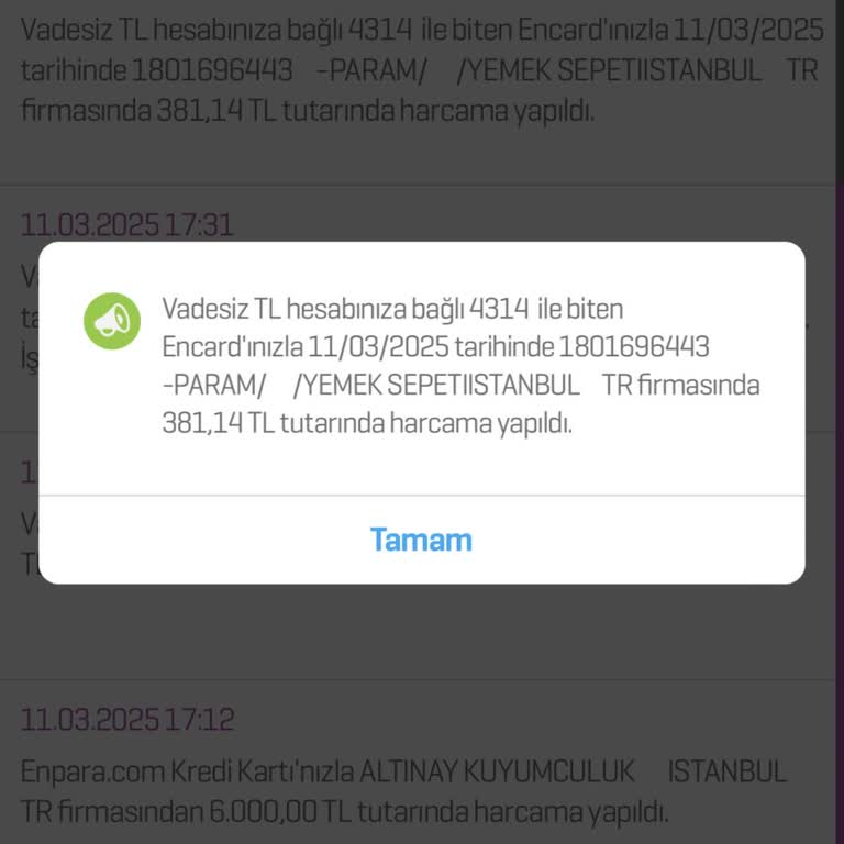 Yemeksepeti'nde 381 TL'lik Kayıp: Ulaşılamayan Destek