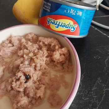 Superfresh Ton Balığından Çıkan Siyah Şeyler Hayal Kırıklığı Yarattı