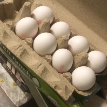 Organik Yumurtalar Yeşillendi Ve Koktu