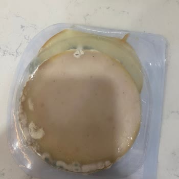 BİM Marketten Aldığım Piliç Füme Küflü Çıktı