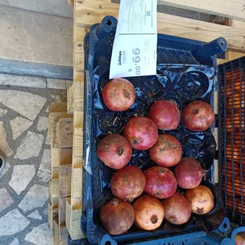 Akyurt Market Fiyatları Uçuk: Acil Düzenleme Talebi