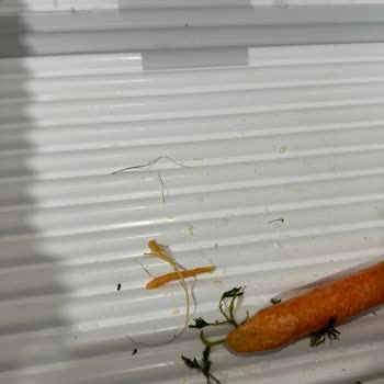 Bosch Silopi Servisi Cevap Vermiyor Buzdolabı Sorunu Çözülmüyor