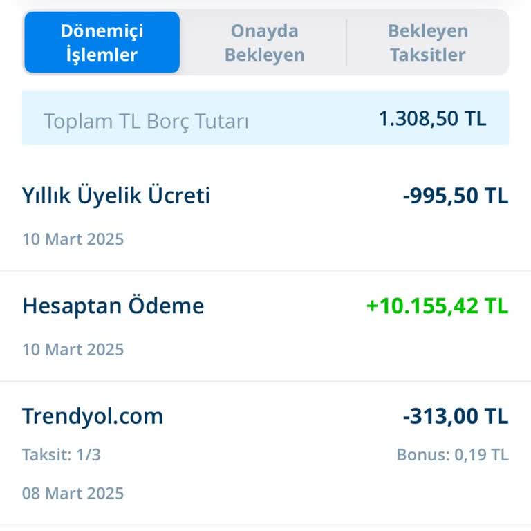 Denizbank Bonus Kartı Üyelik Ücretine Karşı Tüketici Hakları Mücadelesi