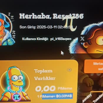 Yanlış Adrese Gönderilen Pi Meme Coinlerim