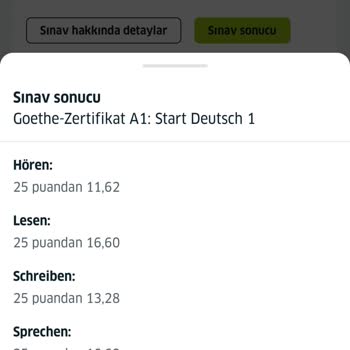 Goethe Institut Sınav Sonuçları Hakkında Şüphelerim Var