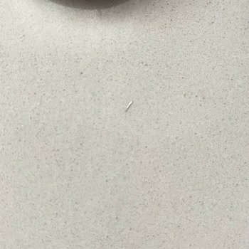 Tehlikeli Kurabiye Deneyimi: Metal Parçalarla Dolgulu Tatlılar!