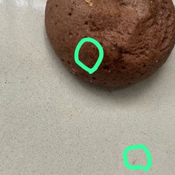 Tehlikeli Kurabiye Deneyimi: Metal Parçalarla Dolgulu Tatlılar!