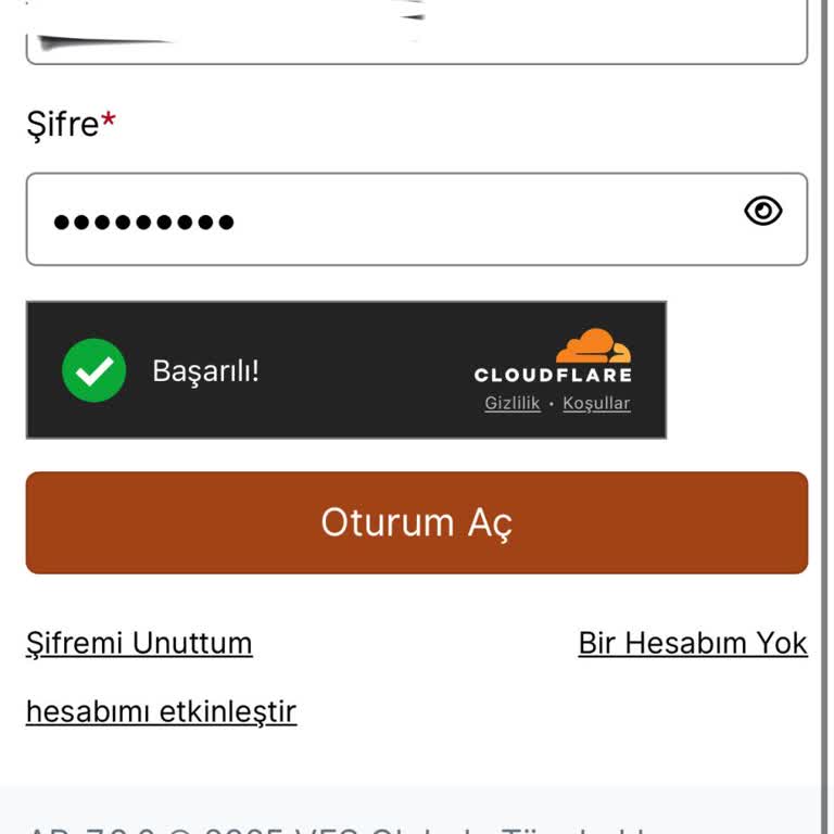 VFS Global Sitesi Randevu Sorunları ve Güvenlik Kodu Gecikmeleri