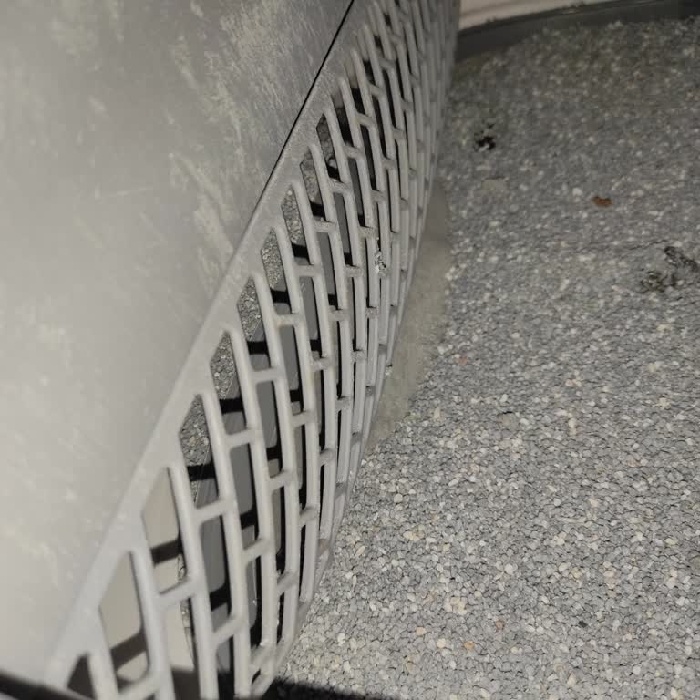 Yasomi Kedi Tuvaletinde Sürekli Ped Sorunu