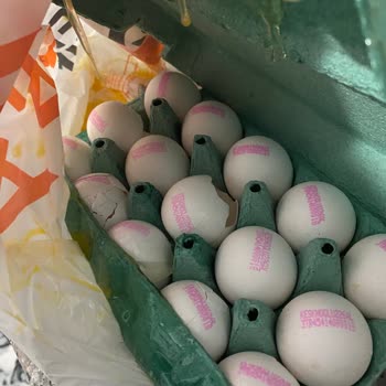 Migros Hemen'de Kırık Yumurtalar Ve İlgisiz Müşteri Hizmeti