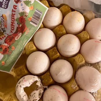 Kırık Ve Küflü Yumurtalarla Hayal Kırıklığı